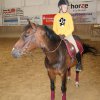 Ponyralley 104
